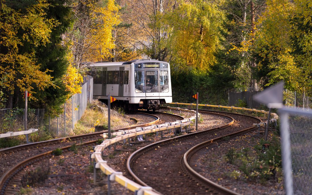 Moderne tog på buede spor omgitt av høsttrær med gyllent løvverk, som skaper et pittoresk landskap med offentlig transport.