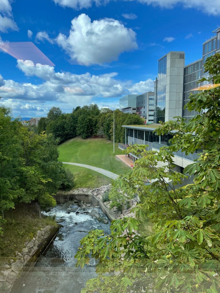 Grøntområder og Alnaelva ved Brynsengfaret 6. Foto: Aashild Baasen.